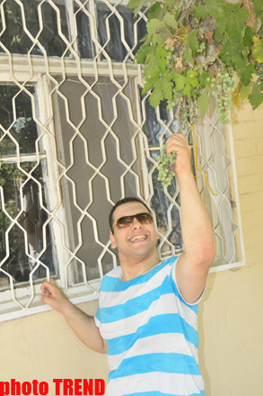 Samuray papağı, meyvəli bağ və ya müğənni Murad Sadıxın rəngarəng yay istirahəti - FOTOSESSİYA