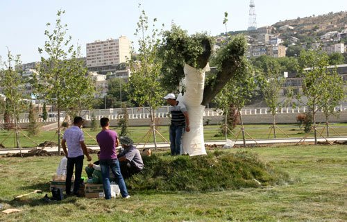 Yeni Bakı bulvarı - FOTOSESSİYA