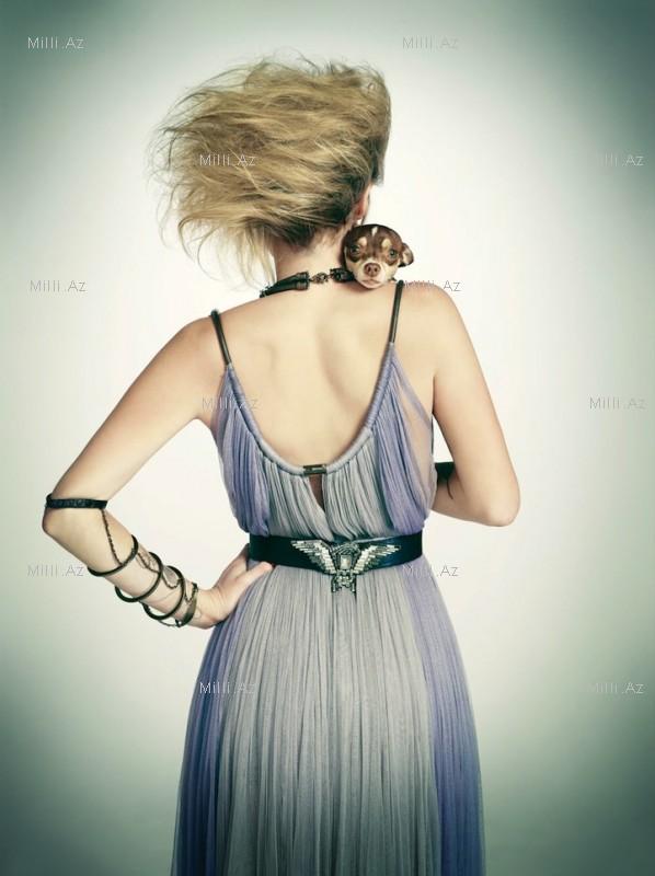 İtlərlə çəkilmiş moda şəkilləri - FOTOSESSİYA