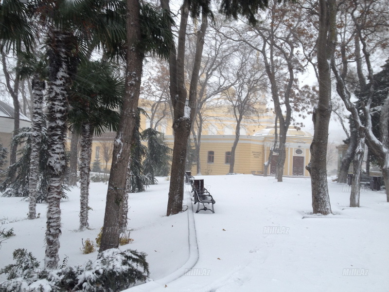 Bakıya güclü qar yağır - YENİLƏNİB - VİDEO - FOTOSESSİYA