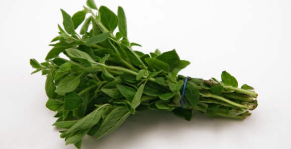 Mətbəx sirləri: Jiqo - FOTO