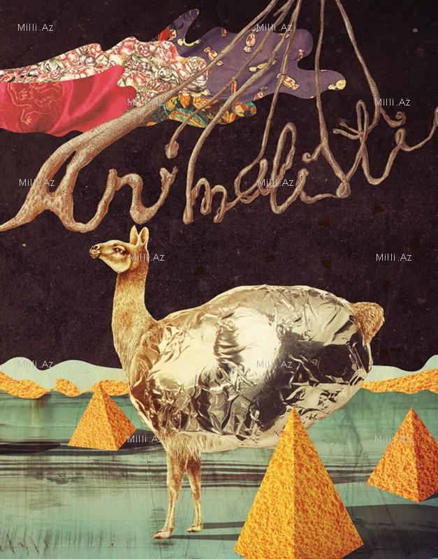 Yeni ideyalar - FOTO