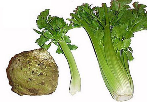 Mətbəx sirləri: Jiqo - FOTO