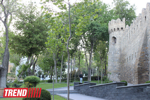 Bakının incisi: Filarmoniya bağı - FOTOSESSİYA