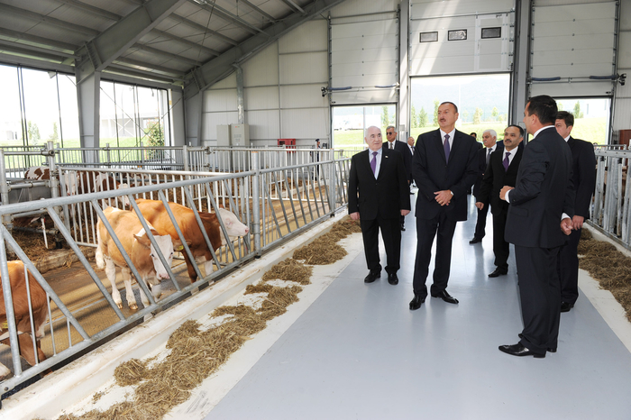 Prezident İlham Əliyev: "Biz bütün dövrlərdə, müstəqilliyin son 20 ili ərzində inamla irəliyə gedirik, öz gücümüzü artırırıq, iqtisadiyyatımızı gücləndiririk" - YENİLƏNİB - FOTO