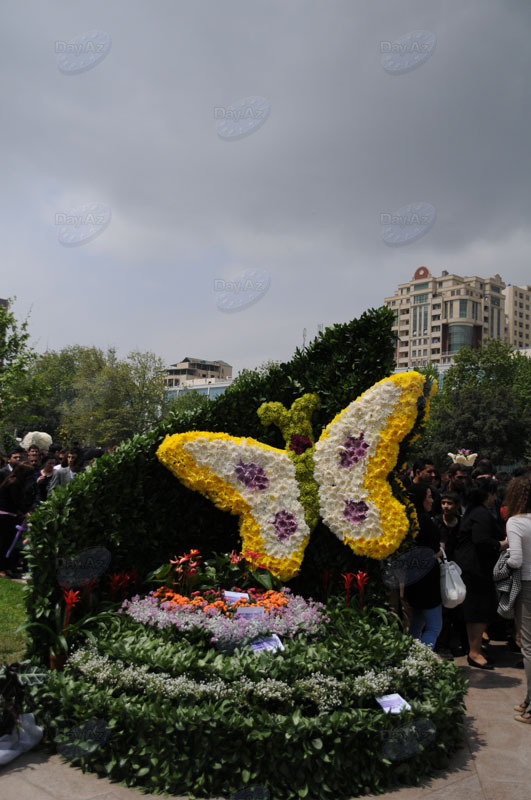 Bakıda Gül bayramı qeyd olunur – FOTOSESSİYA