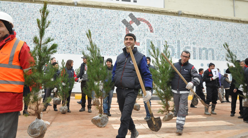 Holcimin 100 illiyinə 400-dən çox agac əkildi - FOTO