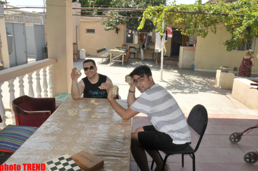 Samuray papağı, meyvəli bağ və ya müğənni Murad Sadıxın rəngarəng yay istirahəti - FOTOSESSİYA