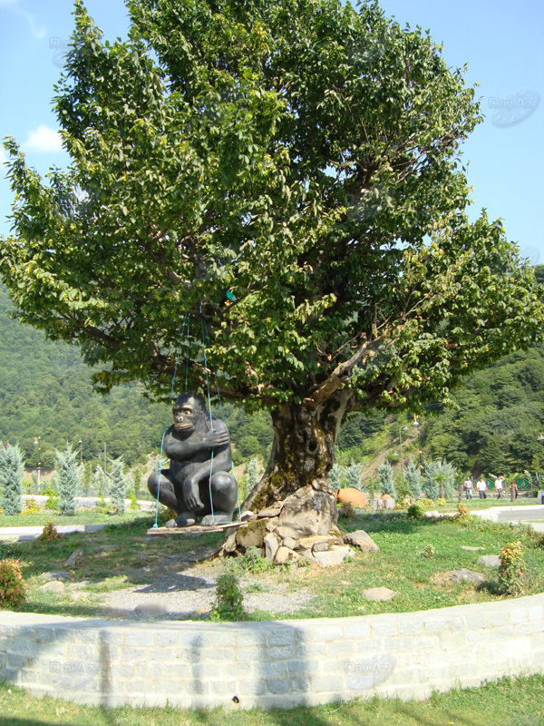 Qəbələ nağılı: Cənubi Qafqazın böyük əyləncə parkı - FOTOSESSİYA