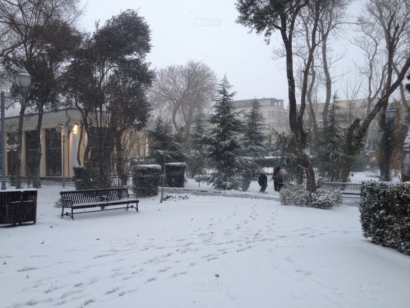 Bakıya güclü qar yağır - YENİLƏNİB - VİDEO - FOTOSESSİYA