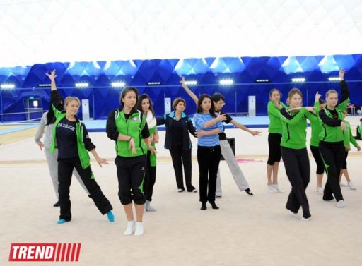 Beynəlxalq Gimnastika Federasiya Bakıda təlim kursları keçirir - FOTO