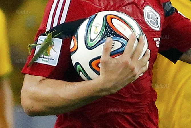 Colombia's Rodriguez celebrates after scoring a penalty against Brazil during their 2014 World Cup quarter-finals at the Castela