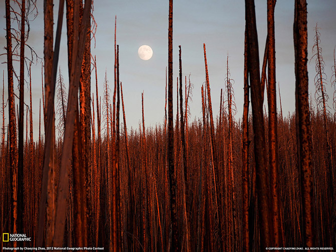 "National Geographic"dən bu ilin ən yaxşı FOTOLARI