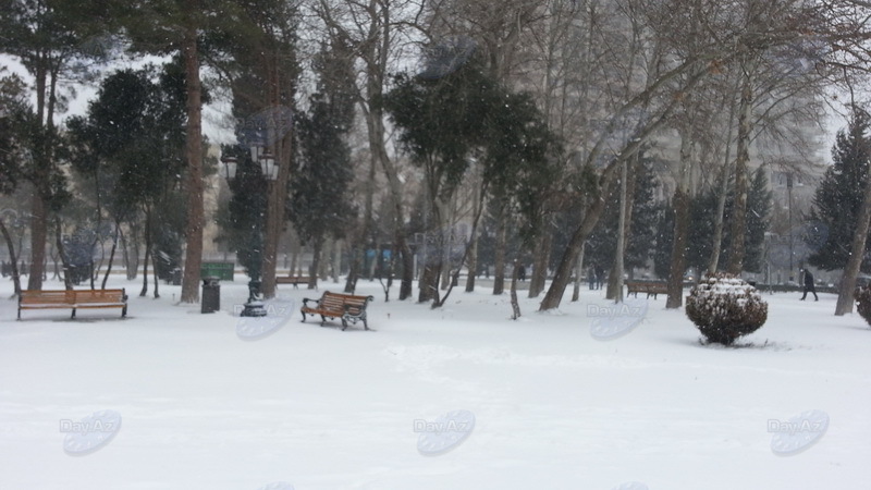 Bakıya güclü qar yağır - YENİLƏNİB - VİDEO - FOTOSESSİYA