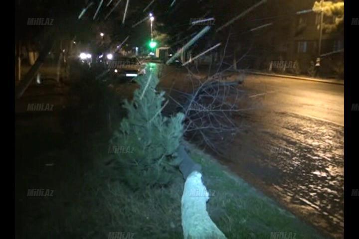 Aran bölgəsi qara təslim oldu - FOTO - VİDEO