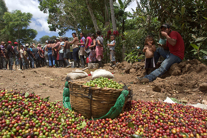 Day labourers, Jinotega in Nicaragua