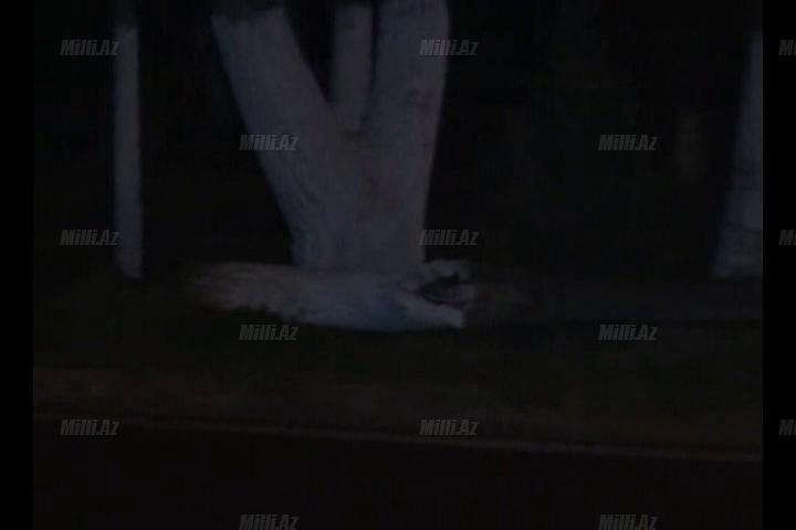 Aran bölgəsi qara təslim oldu - FOTO - VİDEO