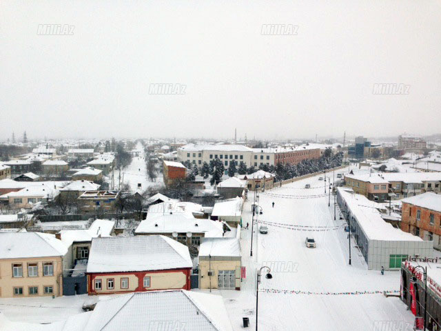 Quba ağ örpəkdə - FOTO