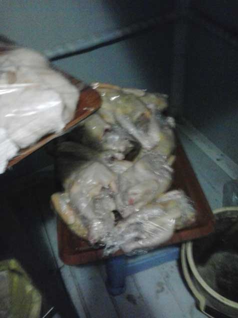 Bakıdakı "Yaşıl bağ" restoranında qurd bəslənir - FOTO