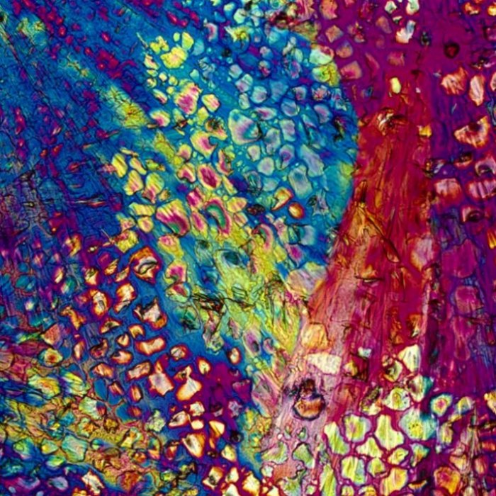 Alkoqolun kristallaşmış psixodelikası - FOTO