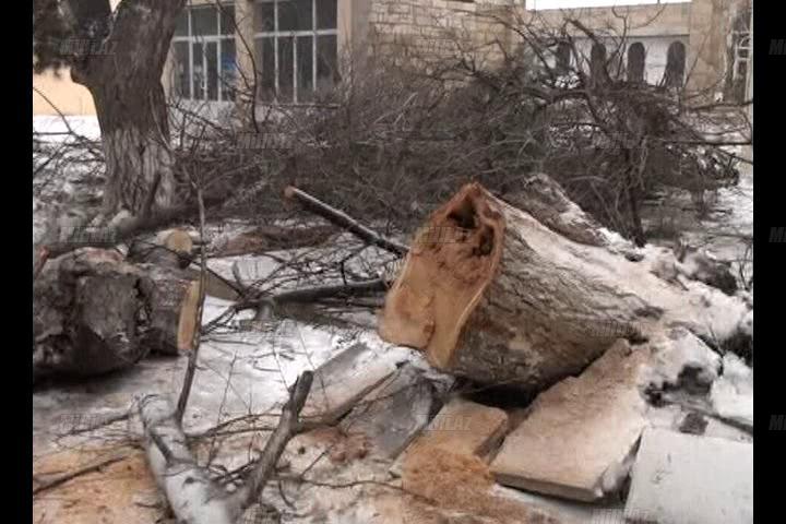 Aran bölgəsi qara təslim oldu - FOTO - VİDEO