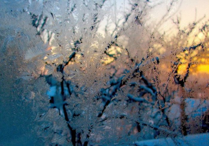 Şüşədə buzlu naxışlar - FOTO
