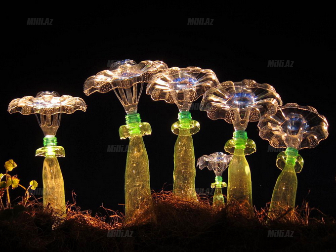 Plastik butulkalar sənəti - FOTO