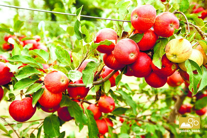 Xaçmaz: gözəl, qədim diyar - FOTO