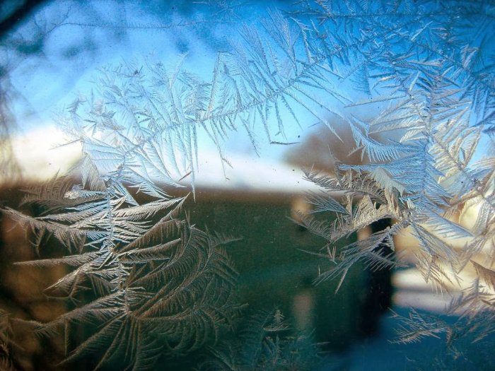 Şüşədə buzlu naxışlar - FOTO