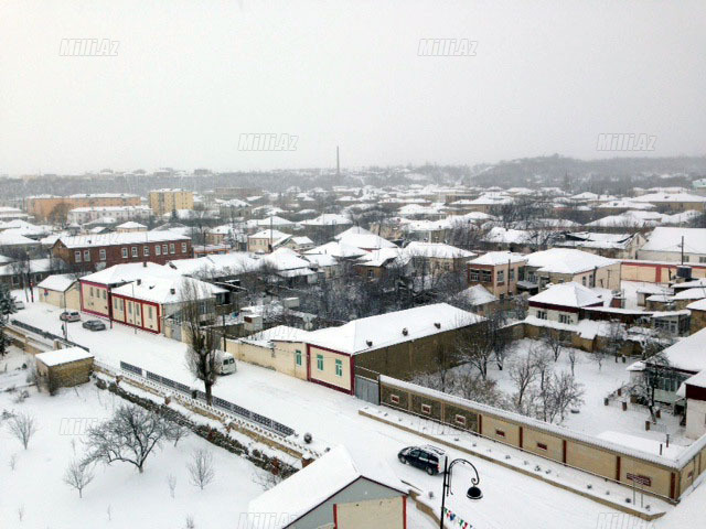 Quba ağ örpəkdə - FOTO