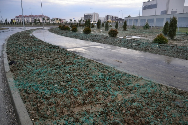 Olimpiadanın arxa qapısı - FOTOSESSİYA