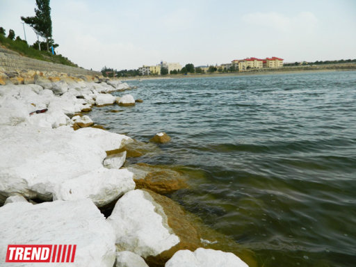 Ərdəbil - Şah İsmayıl Xətainin uyuduğu diyar - FOTO