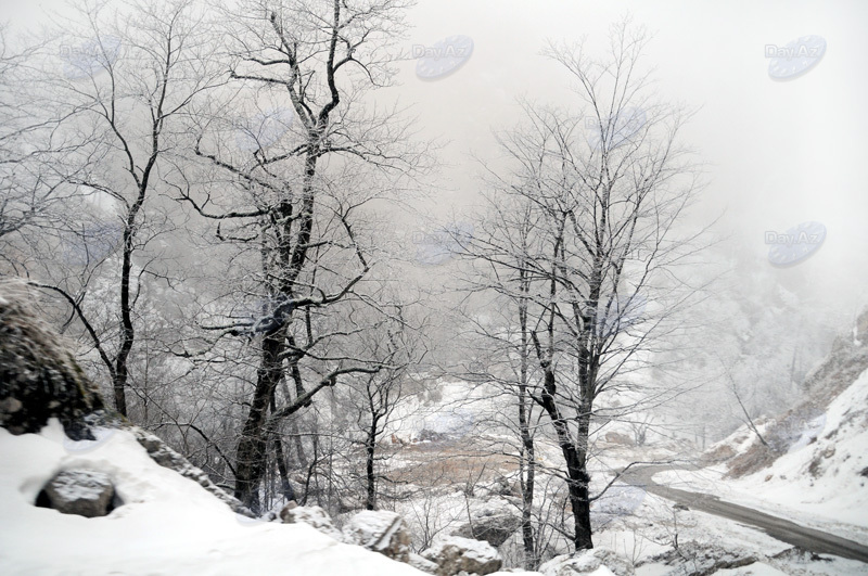 Azərbaycan dağlarının qış görüntüləri - FOTOSESSİYA