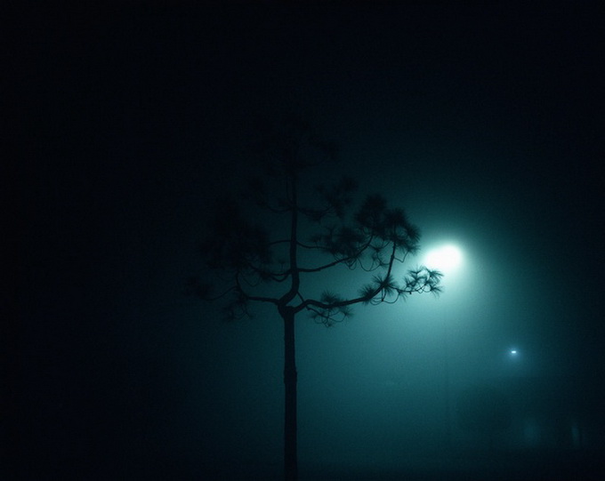 Gecə mənzərələri - FOTO