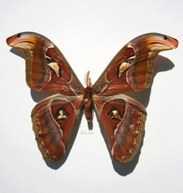 Balaca əsərlər ustası - FOTO