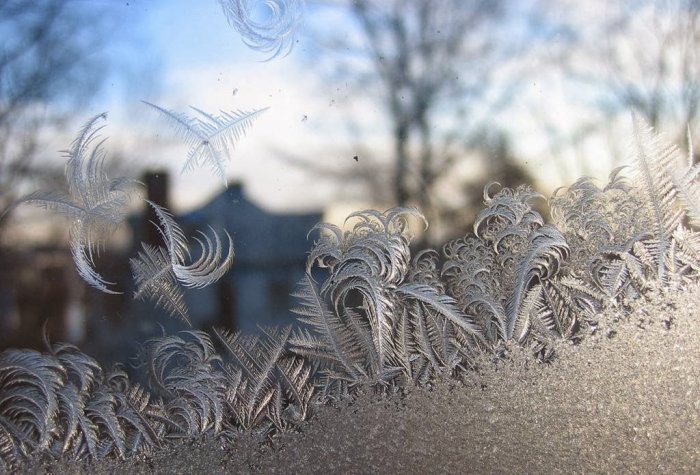 Şüşədə buzlu naxışlar - FOTO