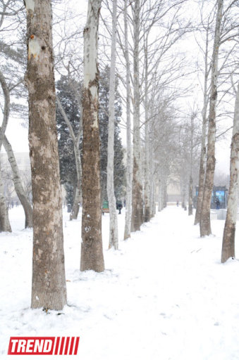 Bakı ağ libasa büründü - FOTOSESSİYA