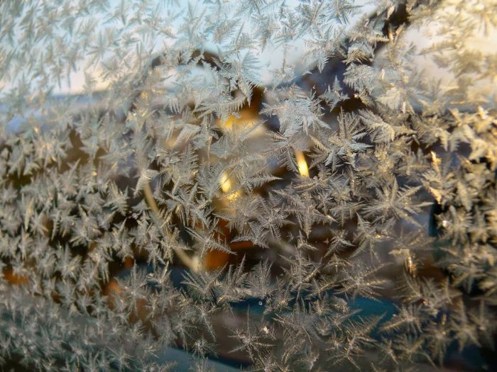 Şüşədə buzlu naxışlar - FOTO