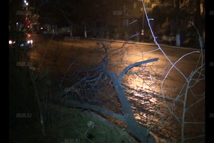 Aran bölgəsi qara təslim oldu - FOTO - VİDEO