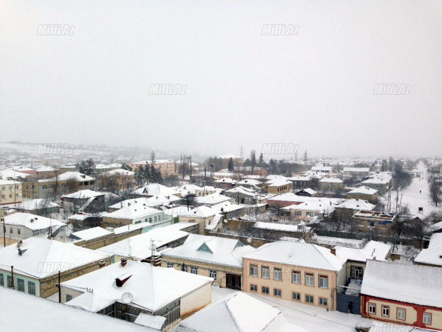 Quba ağ örpəkdə - FOTO