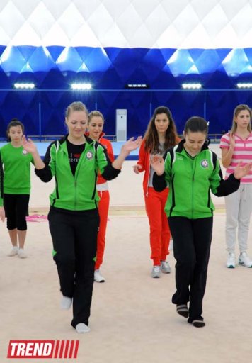Beynəlxalq Gimnastika Federasiya Bakıda təlim kursları keçirir - FOTO
