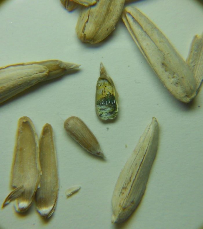 Balaca əsərlər ustası - FOTO