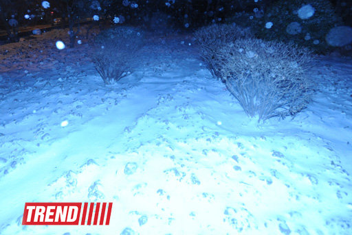 Bakıya qar yağır - YENİLƏNİB - FOTOSESSİYA