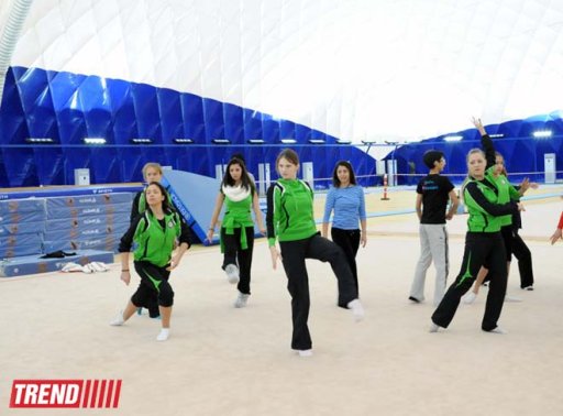 Beynəlxalq Gimnastika Federasiya Bakıda təlim kursları keçirir - FOTO
