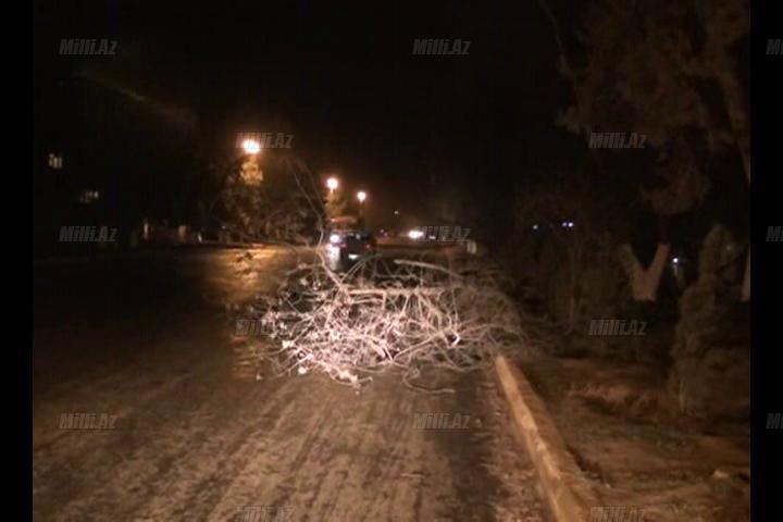 Aran bölgəsi qara təslim oldu - FOTO - VİDEO