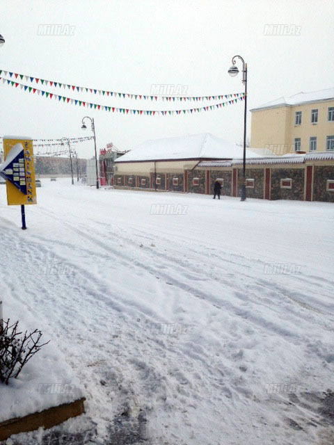 Quba ağ örpəkdə - FOTO