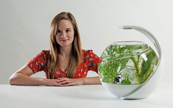 Özünü təmizləyən akvarium - FOTO