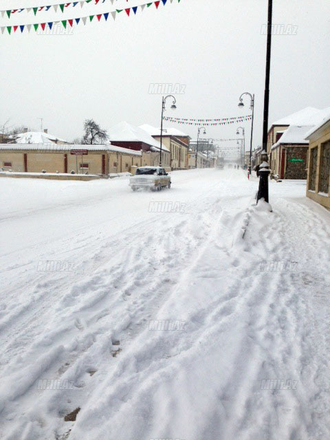 Quba ağ örpəkdə - FOTO