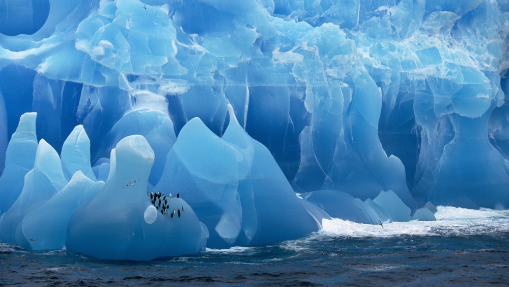 Kompüteriniz üçün maraqlı şəkillər - FOTOSESSİYA