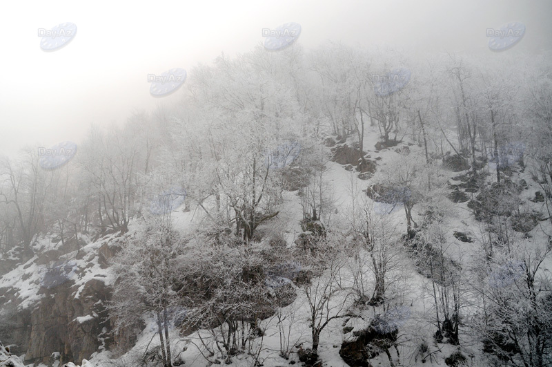 Azərbaycan dağlarının qış görüntüləri - FOTOSESSİYA